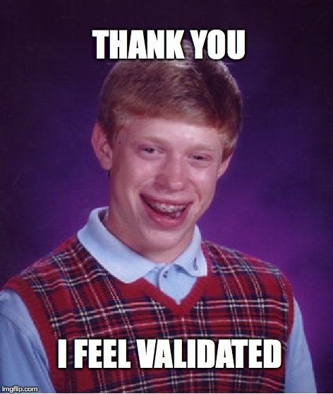 Bad Luck Brian Meme | THANK YOU I FEEL VALIDATED | image tagged in memes,bad luck brian | made w/ Imgflip meme maker