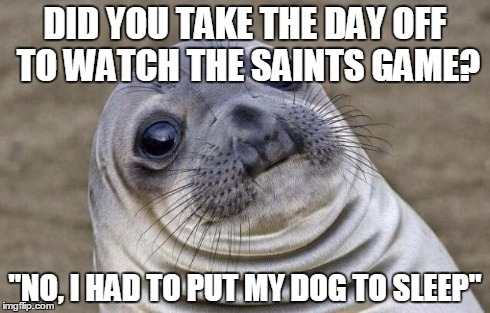 Awkward Moment Sealion | DID YOU TAKE THE DAY OFF TO WATCH THE SAINTS GAME? "NO, I HAD TO PUT MY DOG TO SLEEP" | image tagged in memes,awkward moment sealion,AdviceAnimals | made w/ Imgflip meme maker