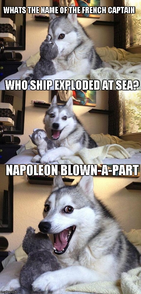 Bad Pun Dog | WHATS THE NAME OF THE FRENCH CAPTAIN WHO SHIP EXPLODED AT SEA? NAPOLEON BLOWN-A-PART | image tagged in memes,bad pun dog | made w/ Imgflip meme maker