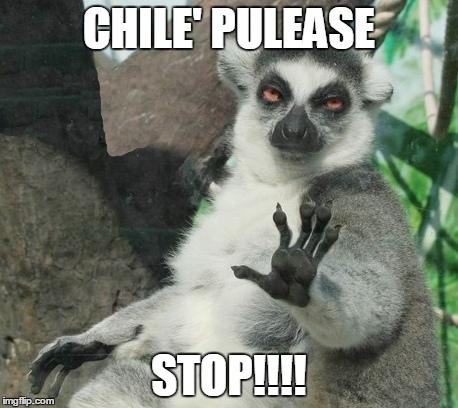 Stoner Lemur | CHILE' PULEASE STOP!!!! | image tagged in memes,stoner lemur | made w/ Imgflip meme maker