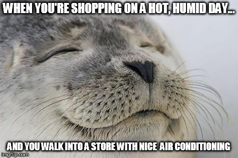 Satisfied Seal Meme | WHEN YOU'RE SHOPPING ON A HOT, HUMID DAY... AND YOU WALK INTO A STORE WITH NICE  AIR CONDITIONING | image tagged in memes,satisfied seal,funny,shopping,summer | made w/ Imgflip meme maker