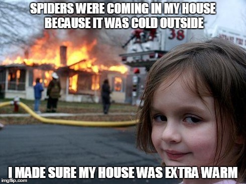 Disaster Girl | SPIDERS WERE COMING IN MY HOUSE BECAUSE IT WAS COLD OUTSIDE I MADE SURE MY HOUSE WAS EXTRA WARM | image tagged in memes,disaster girl | made w/ Imgflip meme maker