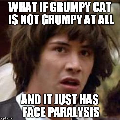 Conspiracy Keanu | WHAT IF GRUMPY CAT IS NOT GRUMPY AT ALL AND IT JUST HAS FACE PARALYSIS | image tagged in memes,conspiracy keanu,grumpy cat | made w/ Imgflip meme maker