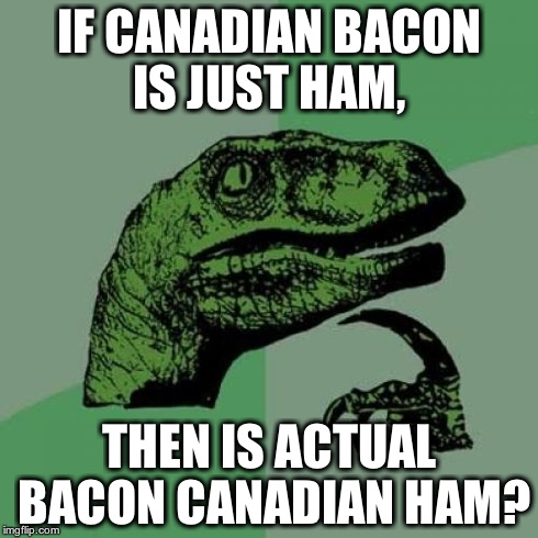 Philosoraptor | IF CANADIAN BACON IS JUST HAM, THEN IS ACTUAL BACON CANADIAN HAM? | image tagged in memes,philosoraptor | made w/ Imgflip meme maker