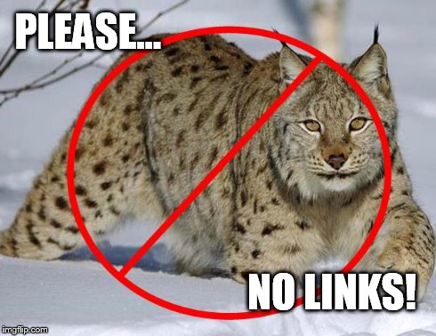 PLEASE... NO LINKS! | image tagged in no lynx | made w/ Imgflip meme maker