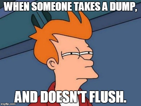 DUMP!!! | WHEN SOMEONE TAKES A DUMP, AND DOESN'T FLUSH. | image tagged in memes,futurama fry | made w/ Imgflip meme maker
