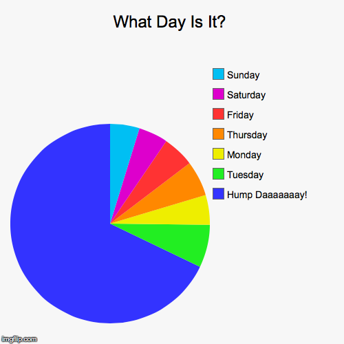 What everybody @ school said everyday of 2013. | image tagged in funny,pie charts | made w/ Imgflip chart maker