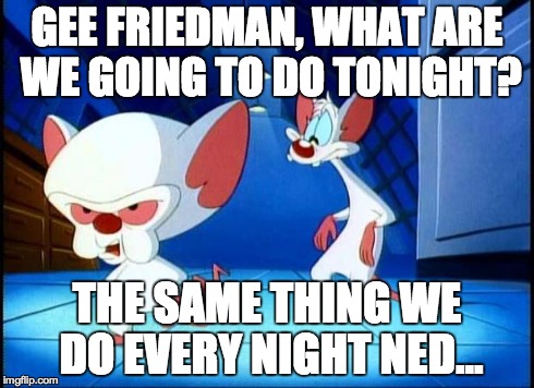 pinky and the brain monday | GEE FRIEDMAN, WHAT ARE WE GOING TO DO TONIGHT? THE SAME THING WE DO EVERY NIGHT NED... | image tagged in pinky and the brain monday | made w/ Imgflip meme maker