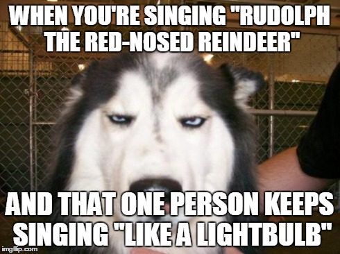 Annoyed Dog | WHEN YOU'RE SINGING "RUDOLPH THE RED-NOSED REINDEER" AND THAT ONE PERSON KEEPS SINGING "LIKE A LIGHTBULB" | image tagged in annoyed dog | made w/ Imgflip meme maker