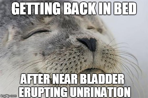 Satisfied Seal Meme | GETTING BACK IN BED AFTER NEAR BLADDER 
ERUPTING UNRINATION | image tagged in memes,satisfied seal,AdviceAnimals | made w/ Imgflip meme maker