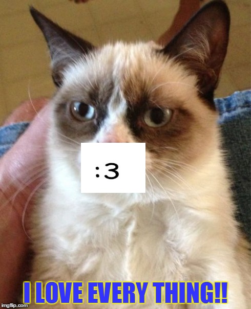 Grumpy Cat Meme | I LOVE EVERY THING!! | image tagged in memes,grumpy cat | made w/ Imgflip meme maker