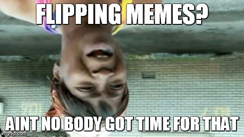 Ain't Nobody Got Time For That Meme | FLIPPING MEMES? AINT NO BODY GOT TIME FOR THAT | image tagged in memes,aint nobody got time for that | made w/ Imgflip meme maker