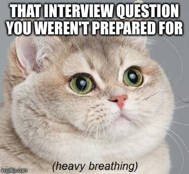 Heavy Breathing Cat Meme | THAT INTERVIEW QUESTION YOU WEREN'T PREPARED FOR | image tagged in memes,heavy breathing cat | made w/ Imgflip meme maker