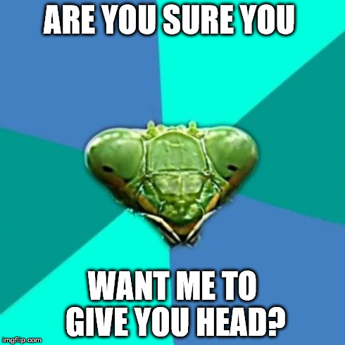 You'd better do some research before you commit... | ARE YOU SURE YOU WANT ME TO GIVE YOU HEAD? | image tagged in memes,crazy girlfriend praying mantis | made w/ Imgflip meme maker