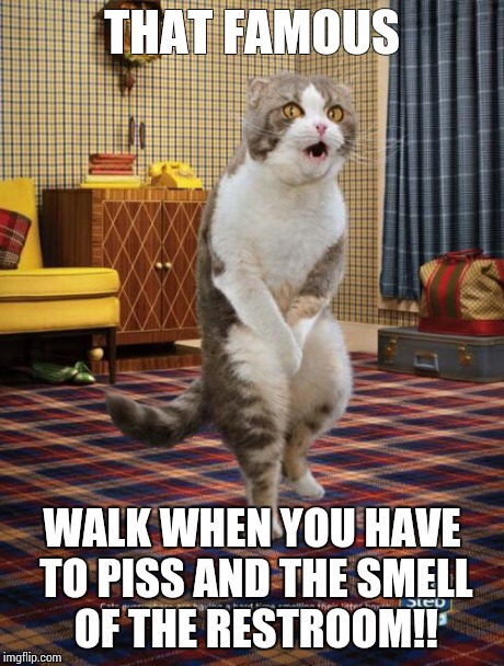 Gotta Go Cat | THAT FAMOUS WALK WHEN YOU HAVE TO PISS AND THE SMELL OF THE RESTROOM!! | image tagged in memes,gotta go cat | made w/ Imgflip meme maker