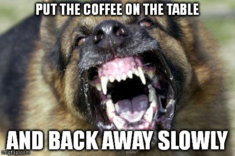 CoffeeDog | PUT THE COFFEE ON THE TABLE AND BACK AWAY SLOWLY | image tagged in coffeedog | made w/ Imgflip meme maker