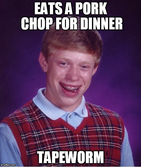 Bad Luck Brian | EATS A PORK CHOP FOR DINNER TAPEWORM | image tagged in memes,bad luck brian | made w/ Imgflip meme maker