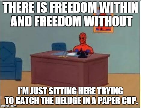 Crowded House Spiderman | THERE IS FREEDOM WITHIN AND FREEDOM WITHOUT I'M JUST SITTING HERE TRYING TO CATCH THE DELUGE IN A PAPER CUP. | image tagged in memes,spiderman computer desk,spiderman,crowded house | made w/ Imgflip meme maker
