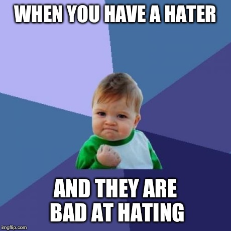 I am looking at you, Beyonder. | WHEN YOU HAVE A HATER AND THEY ARE BAD AT HATING | image tagged in memes,success kid | made w/ Imgflip meme maker