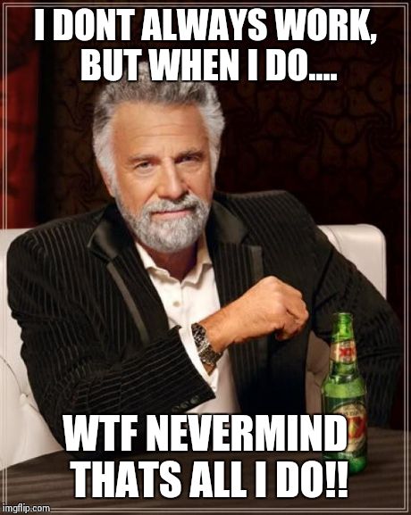 The Most Interesting Man In The World | I DONT ALWAYS WORK, BUT WHEN I DO.... WTF NEVERMIND THATS ALL I DO!! | image tagged in memes,the most interesting man in the world | made w/ Imgflip meme maker