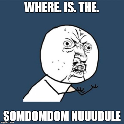 Y U No | WHERE. IS. THE. SOMDOMDOM NUUUDULE | image tagged in memes,y u no | made w/ Imgflip meme maker