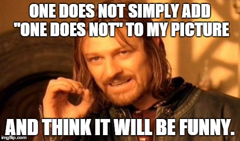 One Does Not Simply | ONE DOES NOT SIMPLY ADD "ONE DOES NOT" TO MY PICTURE AND THINK IT WILL BE FUNNY. | image tagged in memes,one does not simply | made w/ Imgflip meme maker