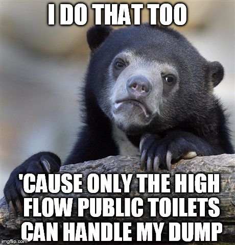 Confession Bear Meme | I DO THAT TOO 'CAUSE ONLY THE HIGH FLOW PUBLIC TOILETS CAN HANDLE MY DUMP | image tagged in memes,confession bear | made w/ Imgflip meme maker
