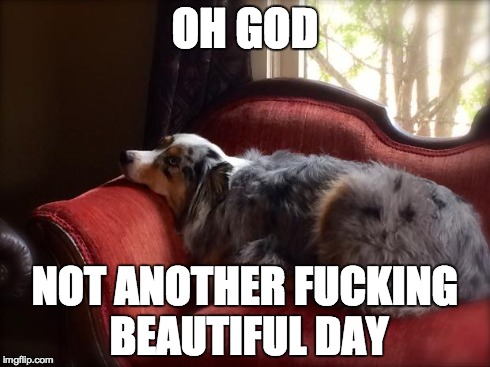 OH GOD NOT ANOTHER F**KING BEAUTIFUL DAY | image tagged in ennui dog | made w/ Imgflip meme maker