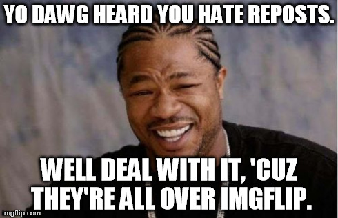 Yo Dawg Heard You | YO DAWG HEARD YOU HATE REPOSTS. WELL DEAL WITH IT, 'CUZ THEY'RE ALL OVER IMGFLIP. | image tagged in memes,yo dawg heard you | made w/ Imgflip meme maker