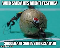Soccer Ant Santa | WHO SAID ANTS AREN'T FESTIVE? SOCCER ANT SANTA STRIKES AGAIN | image tagged in santa,santa clause,insect,christmas,soccer | made w/ Imgflip meme maker