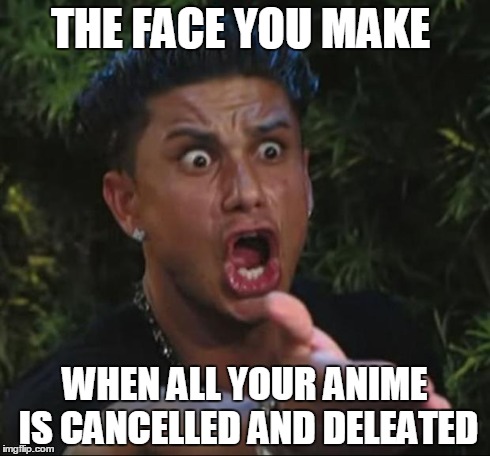 DJ Pauly D Meme | THE FACE YOU MAKE WHEN ALL YOUR ANIME IS CANCELLED AND DELEATED | image tagged in memes,dj pauly d | made w/ Imgflip meme maker