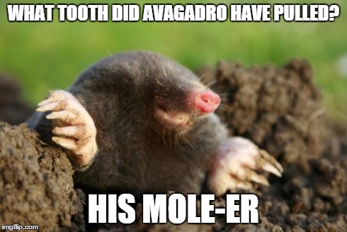 National Mole Day | WHAT TOOTH DID AVAGADRO HAVE PULLED? HIS MOLE-ER | image tagged in national mole day | made w/ Imgflip meme maker