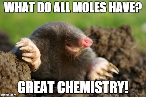 National Mole Day | WHAT DO ALL MOLES HAVE? GREAT CHEMISTRY! | image tagged in national mole day | made w/ Imgflip meme maker