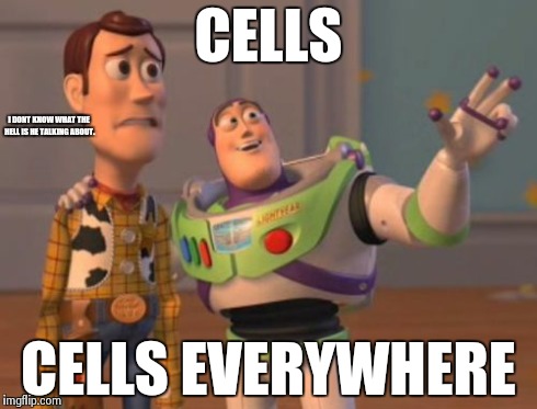 X, X Everywhere | CELLS CELLS EVERYWHERE I DONT KNOW WHAT THE HELL IS HE TALKING ABOUT. | image tagged in memes,x x everywhere | made w/ Imgflip meme maker