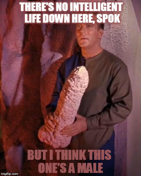 Kirk dildo | THERE'S NO INTELLIGENT LIFE DOWN HERE, SPOK BUT I THINK THIS ONE'S A MALE | image tagged in kirk dildo | made w/ Imgflip meme maker