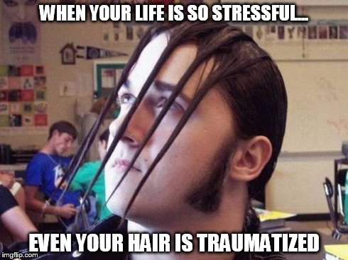 WHEN YOUR LIFE IS SO STRESSFUL... EVEN YOUR HAIR IS TRAUMATIZED | image tagged in new doo revue,funny memes,hair | made w/ Imgflip meme maker