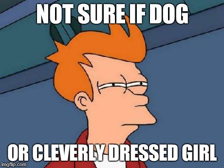 Futurama Fry Meme | NOT SURE IF DOG OR CLEVERLY DRESSED GIRL | image tagged in memes,futurama fry | made w/ Imgflip meme maker