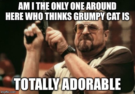 Am I The Only One Around Here | AM I THE ONLY ONE AROUND HERE WHO THINKS GRUMPY CAT IS TOTALLY ADORABLE | image tagged in memes,am i the only one around here | made w/ Imgflip meme maker