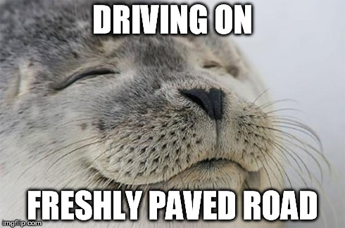 Satisfied Seal Meme | DRIVING ON FRESHLY PAVED ROAD | image tagged in memes,satisfied seal | made w/ Imgflip meme maker