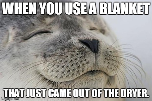 Satisfied Seal Meme | WHEN YOU USE A BLANKET THAT JUST CAME OUT OF THE DRYER. | image tagged in memes,satisfied seal | made w/ Imgflip meme maker
