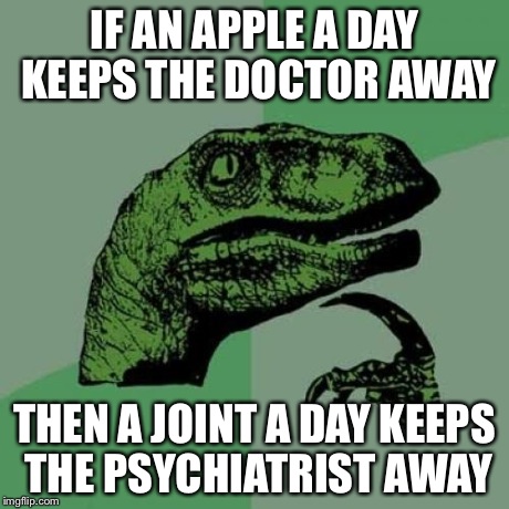 Philosoraptor | IF AN APPLE A DAY KEEPS THE DOCTOR AWAY THEN A JOINT A DAY KEEPS THE PSYCHIATRIST AWAY | image tagged in memes,philosoraptor | made w/ Imgflip meme maker