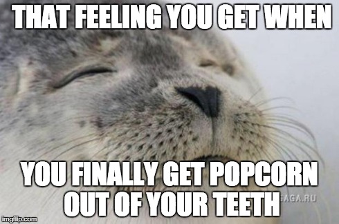 Happy Seal | THAT FEELING YOU GET WHEN YOU FINALLY GET POPCORN OUT OF YOUR TEETH | image tagged in happy seal,AdviceAnimals | made w/ Imgflip meme maker