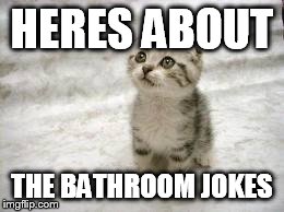Sad Cat Meme | HERES ABOUT THE BATHROOM JOKES | image tagged in memes,sad cat | made w/ Imgflip meme maker