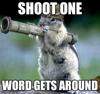 Bazooka Squirrel Meme | SHOOT ONE WORD GETS AROUND | image tagged in memes,bazooka squirrel | made w/ Imgflip meme maker
