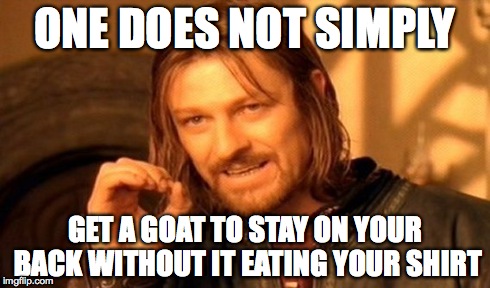 One Does Not Simply Meme | ONE DOES NOT SIMPLY GET A GOAT TO STAY ON YOUR BACK WITHOUT IT EATING YOUR SHIRT | image tagged in memes,one does not simply | made w/ Imgflip meme maker