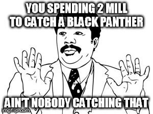 Neil deGrasse Tyson | YOU SPENDING 2 MILL TO CATCH A BLACK PANTHER AIN'T NOBODY CATCHING THAT | image tagged in memes,neil degrasse tyson | made w/ Imgflip meme maker