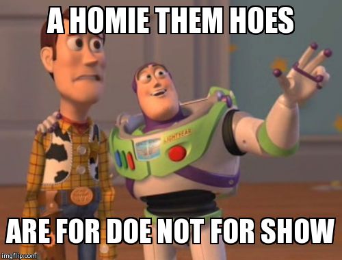 X, X Everywhere Meme | A HOMIE THEM HOES ARE FOR DOE NOT FOR SHOW | image tagged in memes,x x everywhere | made w/ Imgflip meme maker