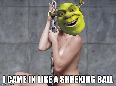 Miley Cyrus Shrek | I CAME IN LIKE A SHREKING BALL | image tagged in miley cyrus shrek | made w/ Imgflip meme maker