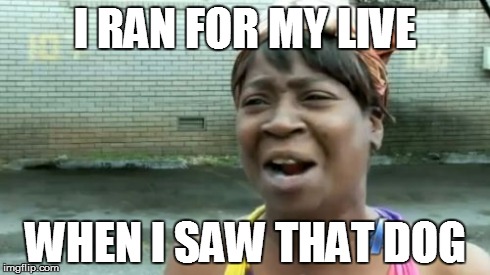 I RAN FOR MY LIVE WHEN I SAW THAT DOG | image tagged in memes,aint nobody got time for that | made w/ Imgflip meme maker
