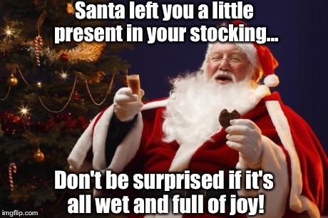 Bad Santa | Santa left you a little present in your stocking... Don't be surprised if it's all wet and full of joy! | image tagged in bad santa | made w/ Imgflip meme maker